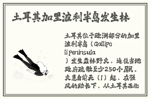 writeas串珠排出来